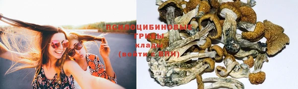 твердый Железногорск-Илимский