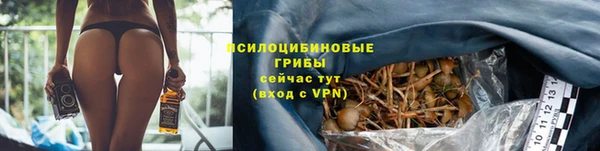стаф Баксан