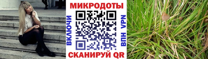 купить Кунгур OMG зеркало Псилоцибиновые грибы GOLDEN TEACHER
