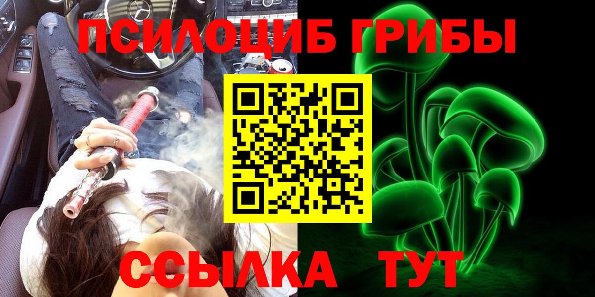 Псилоцибиновые грибы Psilocybe Кунгур